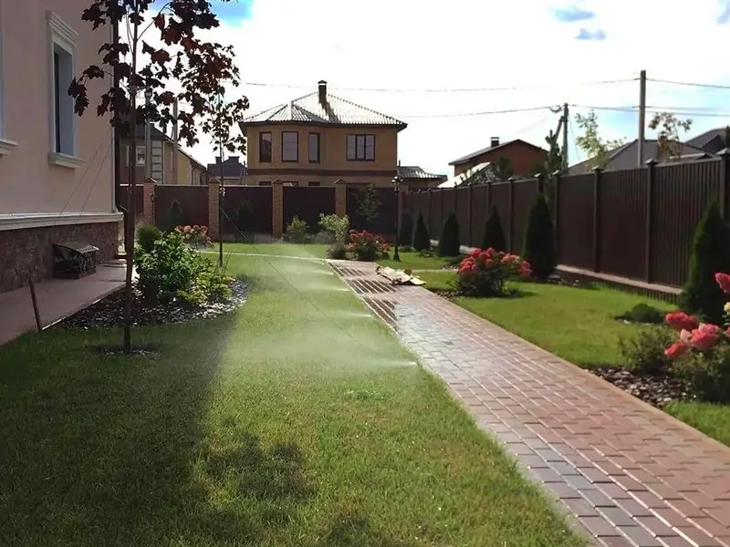 Клумбы и декоративные посадки